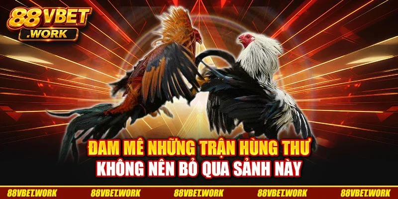 Đam mê những trận hùng thư không nên bỏ qua sảnh này Đam mê những trận hùng thư không nên bỏ qua sảnh này