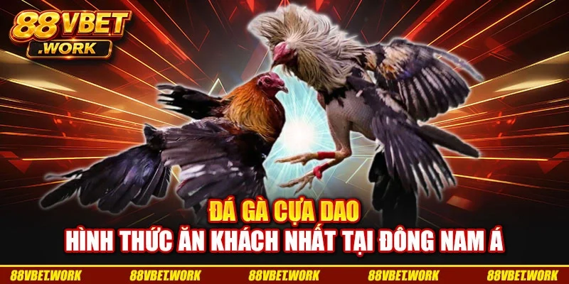 Đá Gà Cựa Dao - Hình Thức Ăn Khách Nhất Tại Đông Nam Á