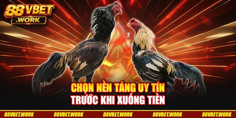 Chọn nền tảng uy tín trước khi xuống tiền Chọn nền tảng uy tín trước khi xuống tiền