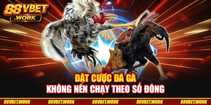 Đặt cược đá gà không nên chạy theo số đông